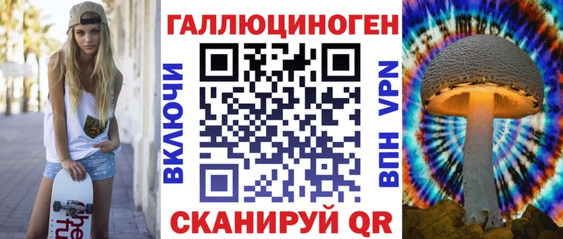 Галлюциногенные грибы Psilocybe  Курганинск 